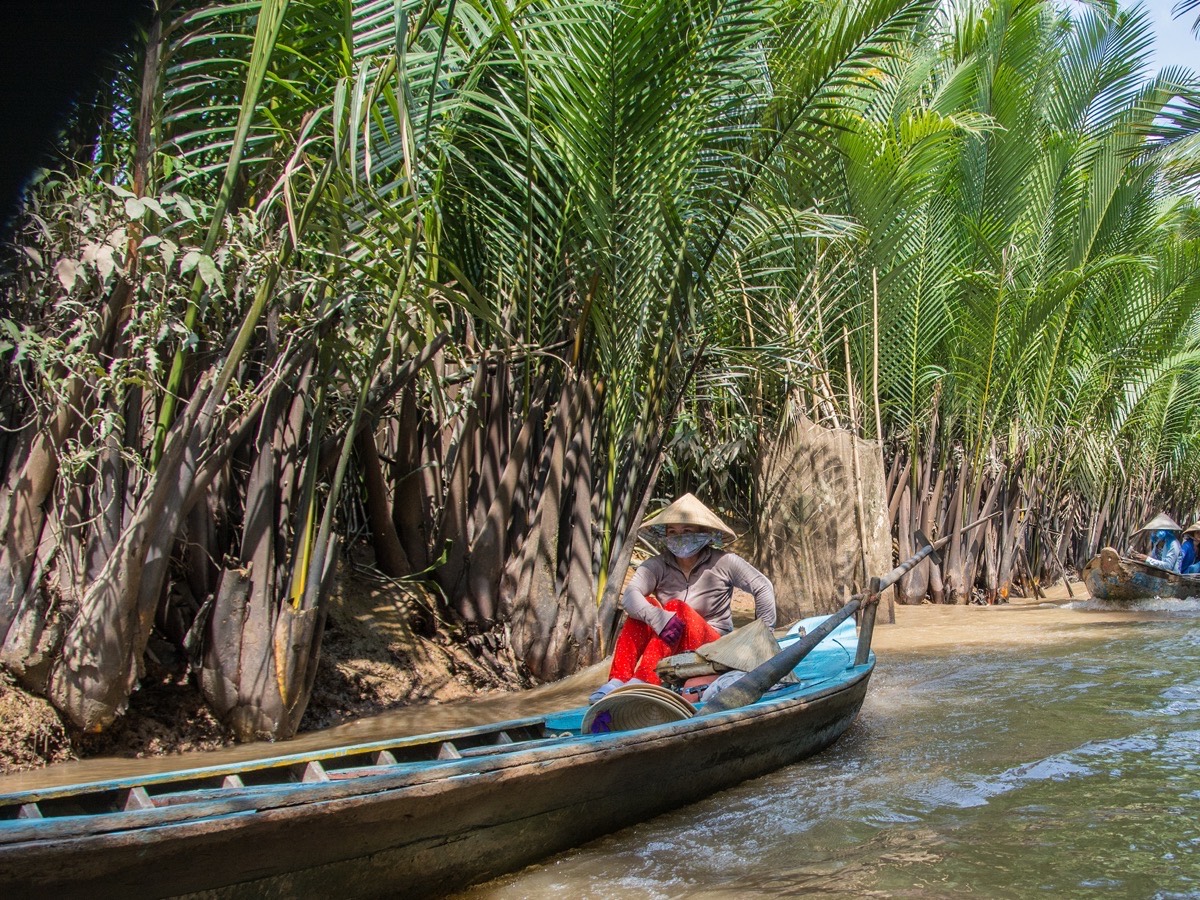 A rowing boat in a palm-lined canal in the Mekong Delta