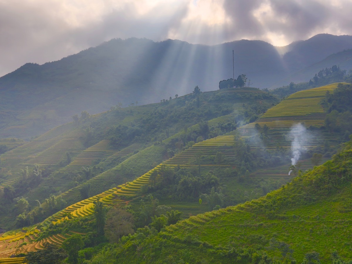 Sunbeams over terraced rice fields in Sapa